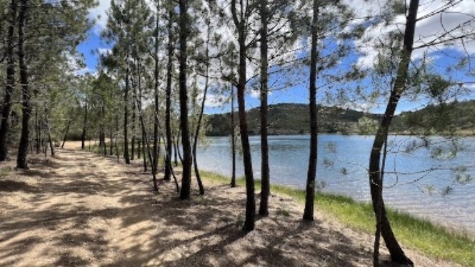 inspiring sunset over wild flower field reminding you of your power inspiring sunset over wild flower field reminding you of your power